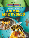 Cover image for Secrets of Animal Life Cycles